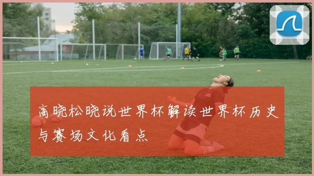 高晓松晓说世界杯解读世界杯历史与赛场文化看点