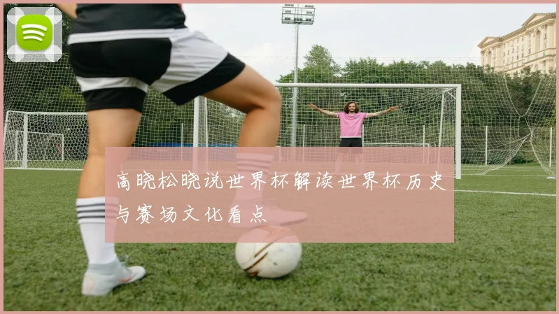 高晓松晓说世界杯解读世界杯历史与赛场文化看点